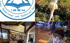 中央八套在线高清直播观看免费